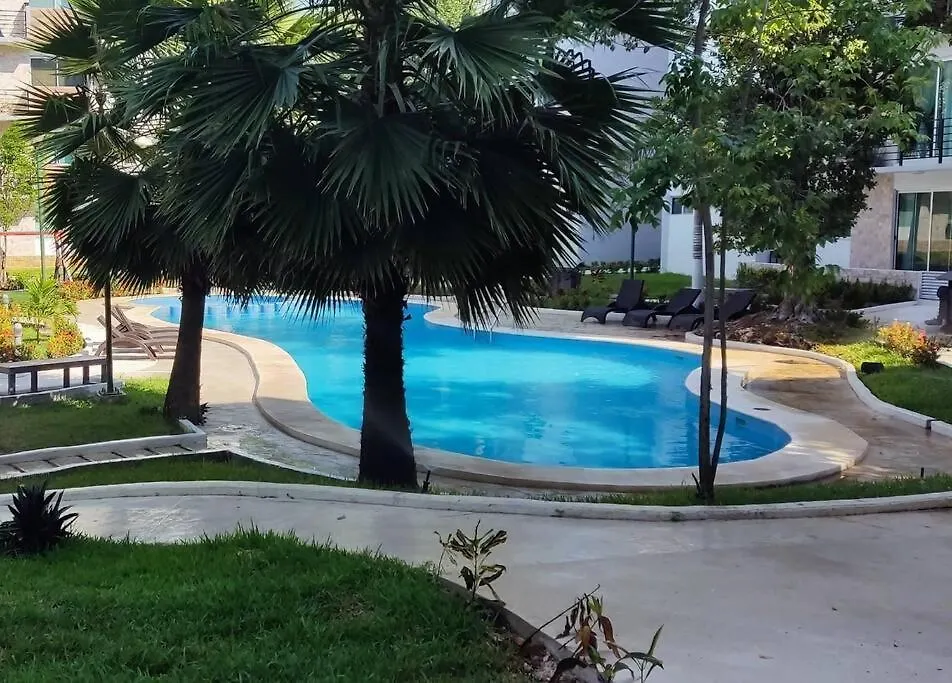 Startip Condo Playa Del Carmen Piscina, Wi-Fi Y Restaurantes